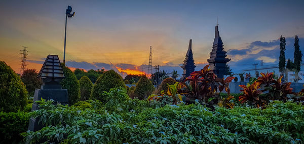 Plants growing outside building against sky during sunset