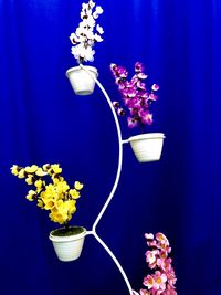 Close-up of flower vase against blue sky