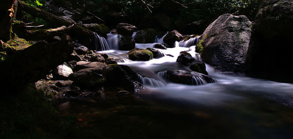 Scenic view of waterfall in forest