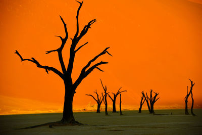 Silhouette bare tree by sea against orange sky