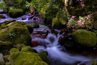 Stream flowing through rocks in forest