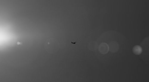 Low angle view of silhouette airplane flying in sky