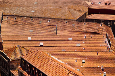 Roof of house