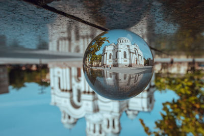 Reflection of trees in water