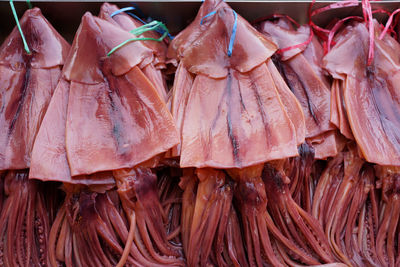 Close-up of fish for sale at market stall