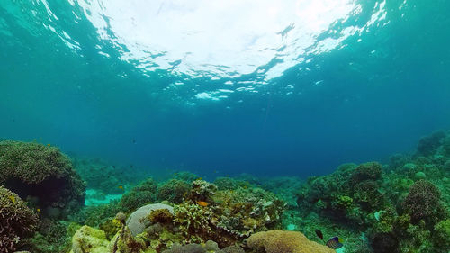 underwater