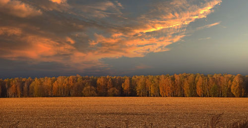 Sunset landscape of autumn stubble agricultural field, trees at horizon and dramatic stormy sky