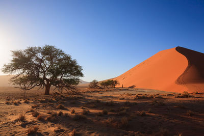 Scenic view of desert against clear sky