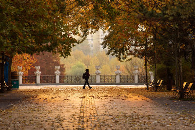 Man walking on footpath in park during autumn