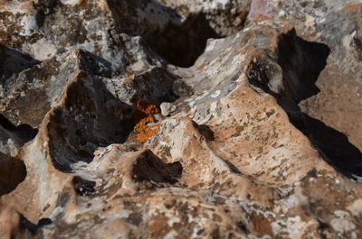 Full frame shot of rock