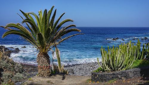 Scenic view of sea against clear sky