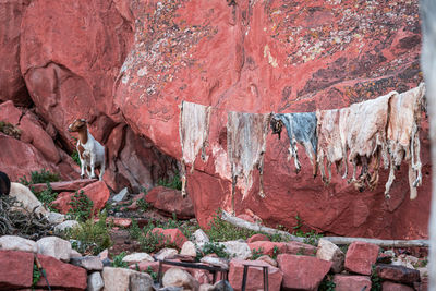 High angle view of rock formations