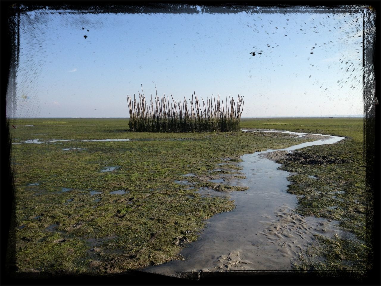 water, transfer print, tranquil scene, tranquility, scenics, horizon over water, auto post production filter, clear sky, sea, nature, beauty in nature, landscape, grass, sky, beach, field, shore, idyllic, copy space, plant