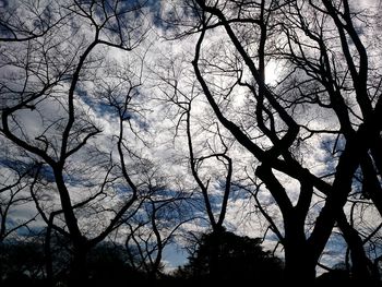 Low angle view of silhouette bare trees against sky