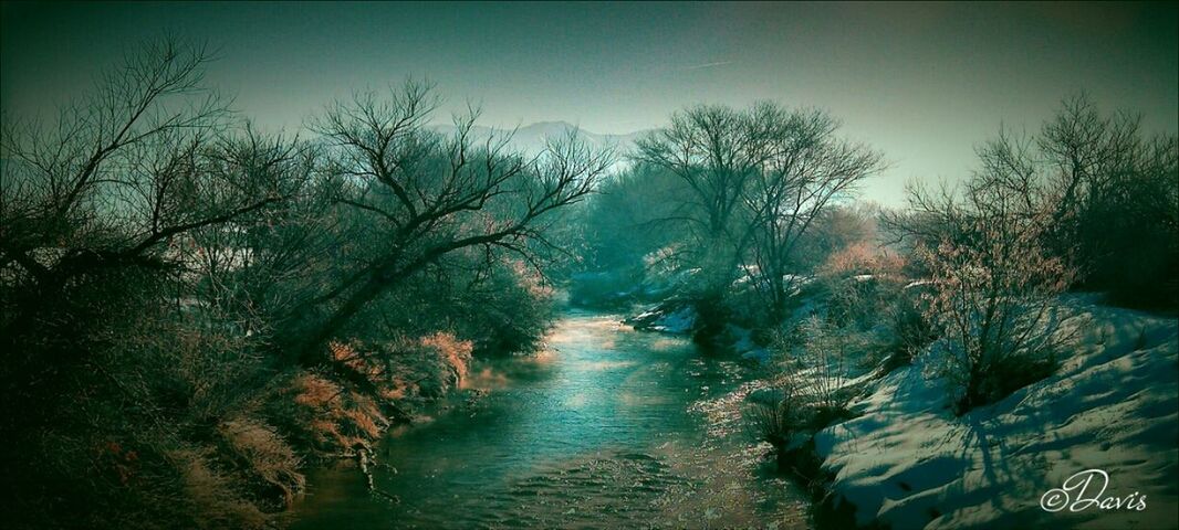 water, tree, bare tree, tranquility, clear sky, tranquil scene, scenics, beauty in nature, waterfront, nature, lake, river, auto post production filter, reflection, branch, day, transfer print, non-urban scene, sky, outdoors