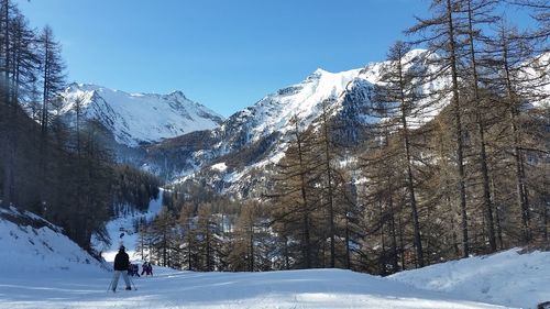 Trees on snow covered mountains against clear sky