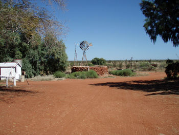 View of dirt road and palm trees on field