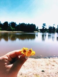 Cropped hand holding flowers by lake