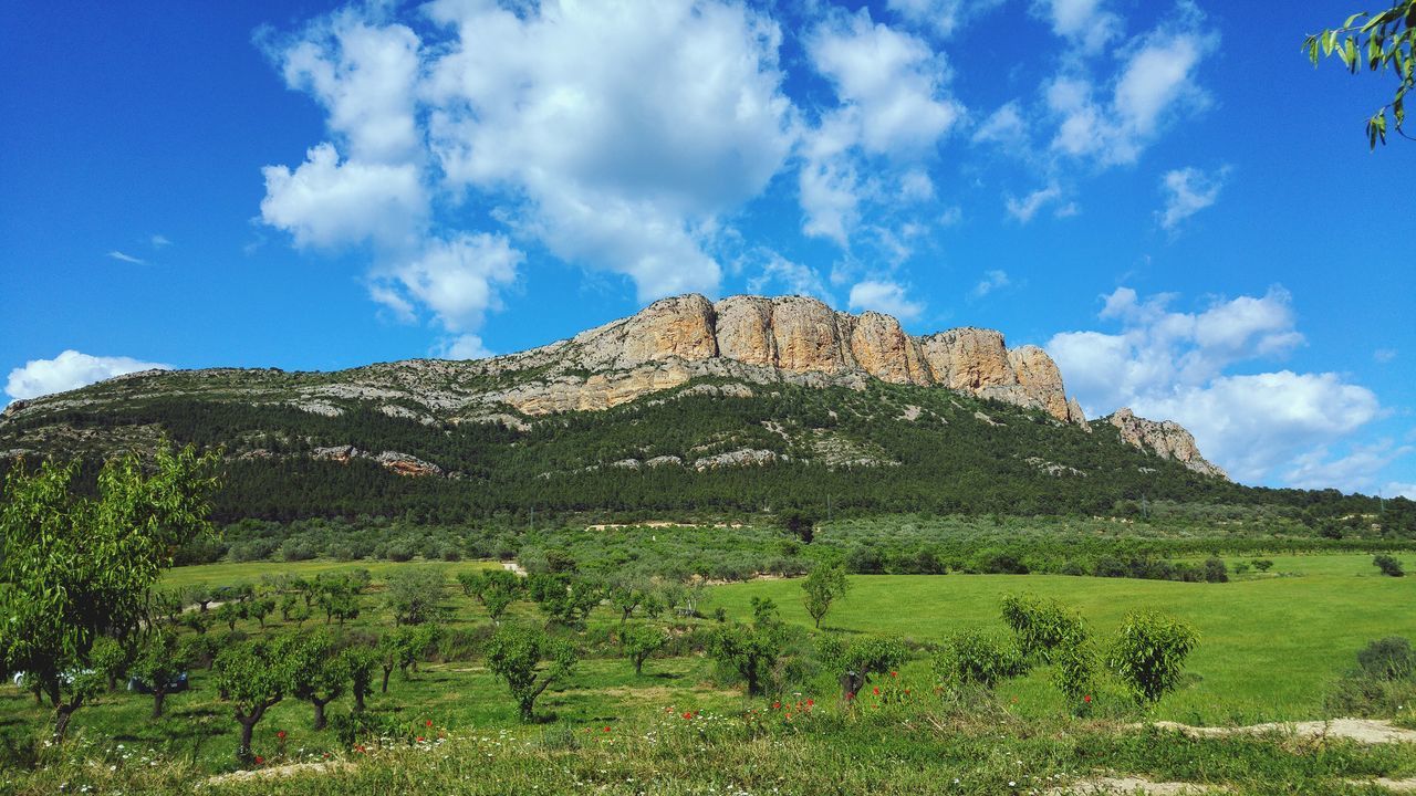 Ferran asturias bernades