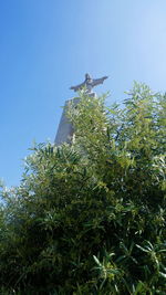 Low angle view of bird on tree against clear sky