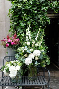 Potted plants against white wall