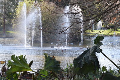 Scenic view of waterfall