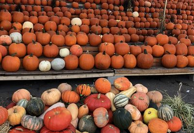 High angle view of pumpkins for sale at market