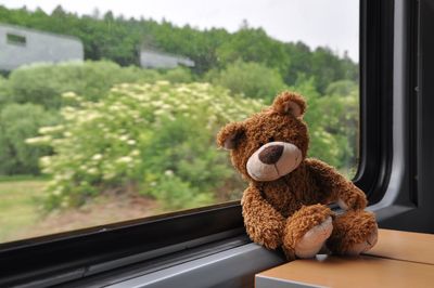 Close-up of teddy bear on window sill