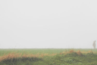 Grassy field against clear sky