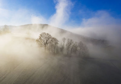 Scenic view of tree against sky during winter