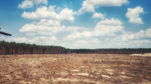 Panoramic view of agricultural field against sky