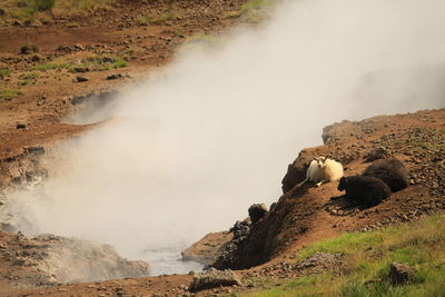 View of a waterfall along rocks