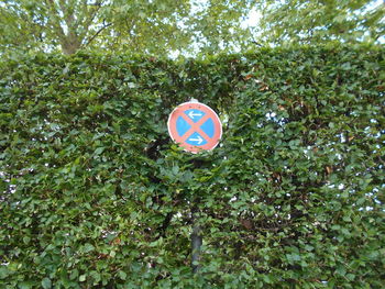 Low angle view of road sign against trees