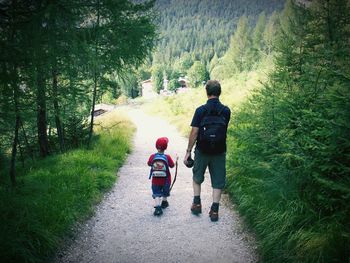 Rear view of father walking on road in forest