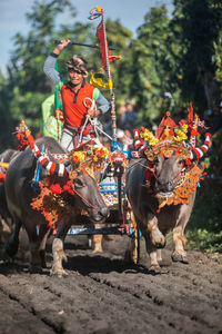 Man riding horse