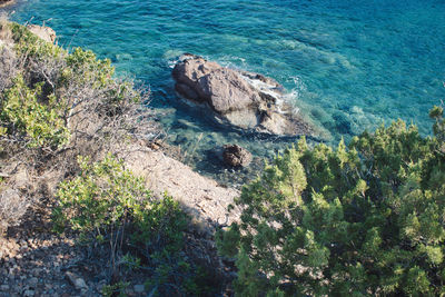 High angle view of rocks on beach