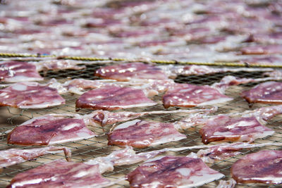 Full frame shot of squids drying on fishnet