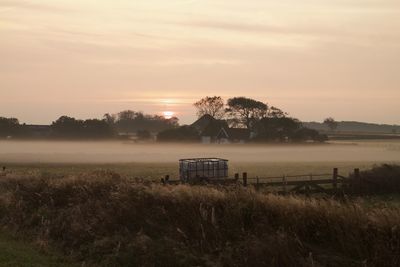 Scenic view of field against sky during sunset