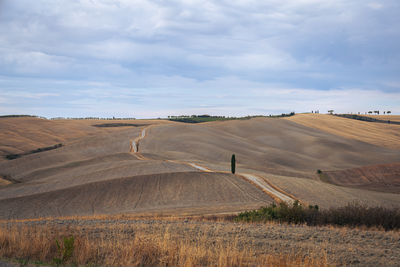 View of hte fields after harvest in the hills of tuscany in italy