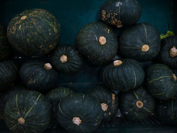 Full frame shot of pumpkins