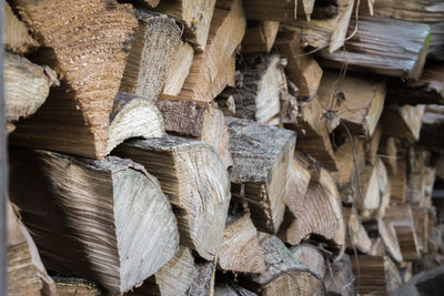 Full frame shot of logs in forest