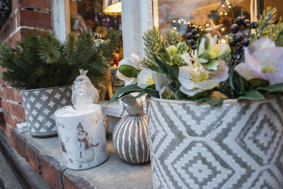 Close-up of potted plants on table