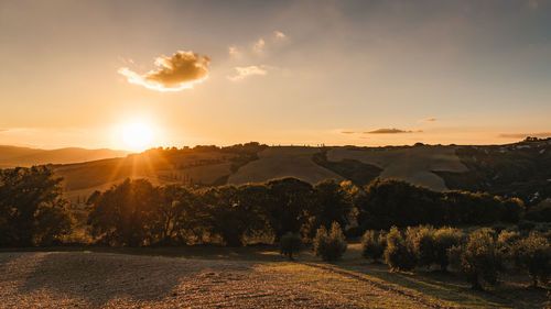 Scenic view of landscape against sky during sunset