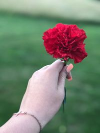 Cropped hand of woman holding red flower outdoors