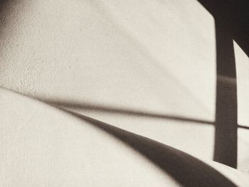 shadow
