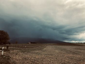 Scenic view of field against sky