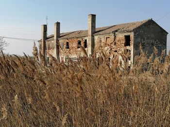 Low angle view of old building on field against sky