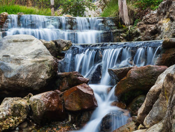 Scenic view of waterfall in forest
