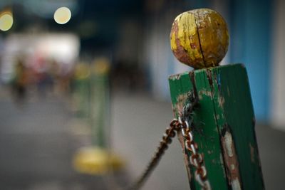 Close-up of rusty metal pole against wood