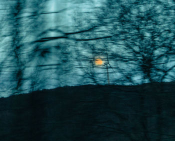 Bare trees against sky during winter